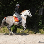 Festa Portuguesa 2010 - Weis Lusitanos
