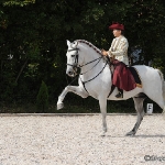 Festa Portuguesa 2010 - Weis Lusitanos