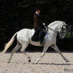 Festa Portuguesa 2010 - Weis Lusitanos
