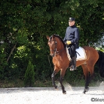 Festa Portuguesa 2010 - Weis Lusitanos