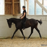 Klassische Dressur mit Ruth Giffels