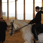Barockes Reiten mit Richard Hinrichs  - Artesano, PRE