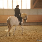 Barockes Reiten mit Richard Hinrichs  - Artesano, PRE