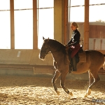 Barockes Reiten mit Richard Hinrichs  - Zinco, Lusitano