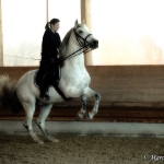 Barockes Reiten mit Richard Hinrichs  - Artesano, PRE