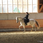Barockes Reiten mit Richard Hinrichs  - Artesano, PRE