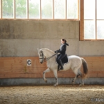 Barockes Reiten mit Richard Hinrichs  - Artesano, PRE