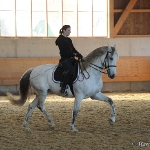 Barockes Reiten mit Richard Hinrichs  - Artesano, PRE