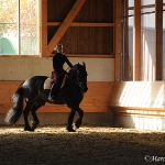 Barockes Reiten mit Richard Hinrichs  - Boris, Friese
