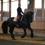 Barockes Reiten mit Richard Hinrichs  - Boris, Friese