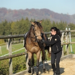 Barockes Reiten mit Richard Hinrichs  - Layos, Andalusier