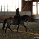 Barockes Reiten mit Richard Hinrichs  - Layos, Andalusier