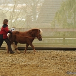 Barockes Reiten mit Richard Hinrichs - Feb. 2012