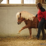 Barockes Reiten mit Richard Hinrichs - Feb. 2012