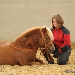 Barockes Reiten mit Richard Hinrichs - Feb. 2012