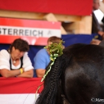 Noriker Bundeshengstschau - 12. Juni 2011 im Agrarzentrum West in Imst (Tirol)