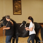 Morgenarbeit mit Ruth Giffels