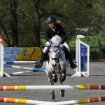 Springturnier in Höchst 2012 mit Vonach Pony Cup