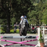 Springturnier in Höchst 2012 mit Vonach Pony Cup