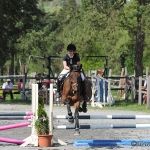 Springturnier in Höchst 2012 mit Vonach Pony Cup