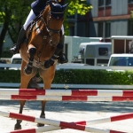 Raiffeisen-Pfingstturnier BRV Bregenz 2013