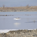 C2010-01-23-0447