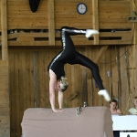 Landestmeisterschaft 2010 im Voltigieren