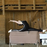 Landestmeisterschaft 2010 im Voltigieren