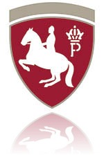 Lipizzaner.jpg