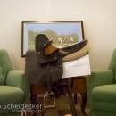 Impressionen - 20-jähriges Jubiläum IG Damensattel Österreich