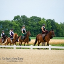Reitvorführungen - 20-jähriges Jubiläum IG Damensattel Österreich