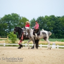 Reitvorführungen - 20-jähriges Jubiläum IG Damensattel Österreich