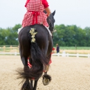 Reitvorführungen - 20-jähriges Jubiläum IG Damensattel Österreich