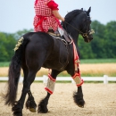 Reitvorführungen - 20-jähriges Jubiläum IG Damensattel Österreich