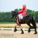 Reitvorführungen - 20-jähriges Jubiläum IG Damensattel Österreich