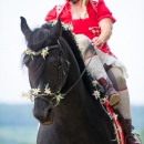 Reitvorführungen - 20-jähriges Jubiläum IG Damensattel Österreich