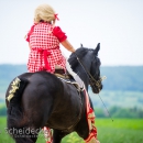 Reitvorführungen - 20-jähriges Jubiläum IG Damensattel Österreich
