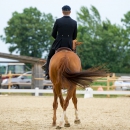 Reitvorführungen - 20-jähriges Jubiläum IG Damensattel Österreich