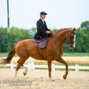 Reitvorführungen - 20-jähriges Jubiläum IG Damensattel Österreich