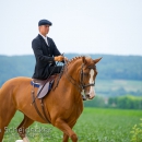 Reitvorführungen - 20-jähriges Jubiläum IG Damensattel Österreich