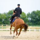 Reitvorführungen - 20-jähriges Jubiläum IG Damensattel Österreich