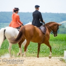 Reitvorführungen - 20-jähriges Jubiläum IG Damensattel Österreich
