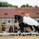 Reitvorführungen - 20-jähriges Jubiläum IG Damensattel Österreich
