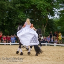 Reitvorführungen - 20-jähriges Jubiläum IG Damensattel Österreich