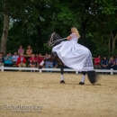 Reitvorführungen - 20-jähriges Jubiläum IG Damensattel Österreich