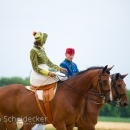 Reitvorführungen - 20-jähriges Jubiläum IG Damensattel Österreich