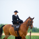 Reitvorführungen - 20-jähriges Jubiläum IG Damensattel Österreich