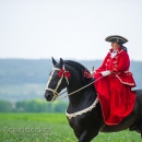 Reitvorführungen - 20-jähriges Jubiläum IG Damensattel Österreich