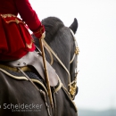 Reitvorführungen - 20-jähriges Jubiläum IG Damensattel Österreich