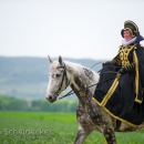 Reitvorführungen - 20-jähriges Jubiläum IG Damensattel Österreich